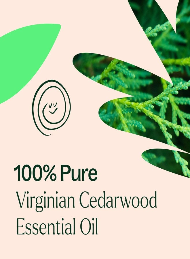 Plant Therapy Cedarwood Virginian Essential Oil 10 mL (1/3 Oz) 100% Pure, Undiluted, Therapeutic Grade - Image 5